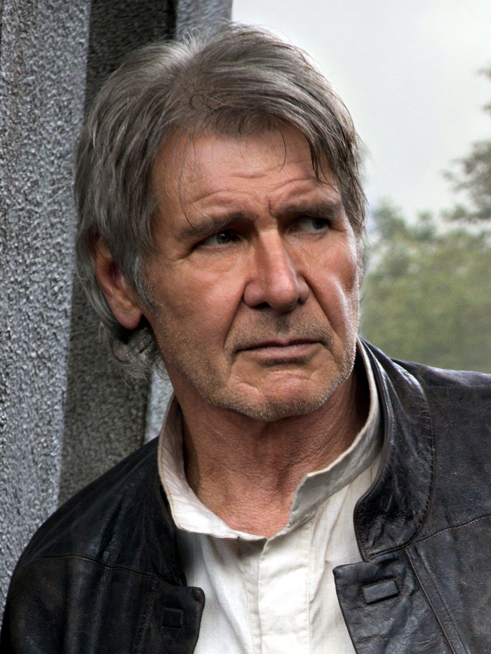 Picture of Han Solo